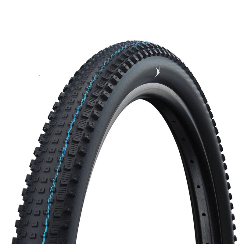 SCHWALBE Plášť RICK XC PRO (62-622) 29x2.40 Evolution 67EPI 760g Čierny TLR SpeedGrip NEW25