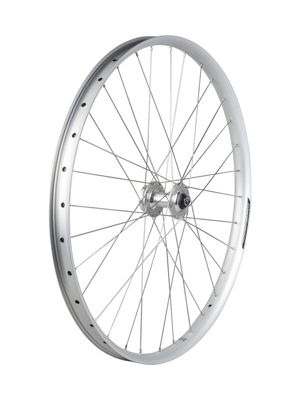 Electra Townie Path 6-Bolt Disc 27.5" Wheel - Strieborná